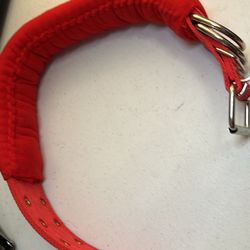 Collar Para Perrita Mediana. Entregó Afuera McDonald Edgmere Y Zaragoza 