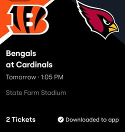 Cardinals Bengals