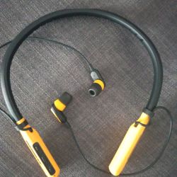 Dewalt Earphones
