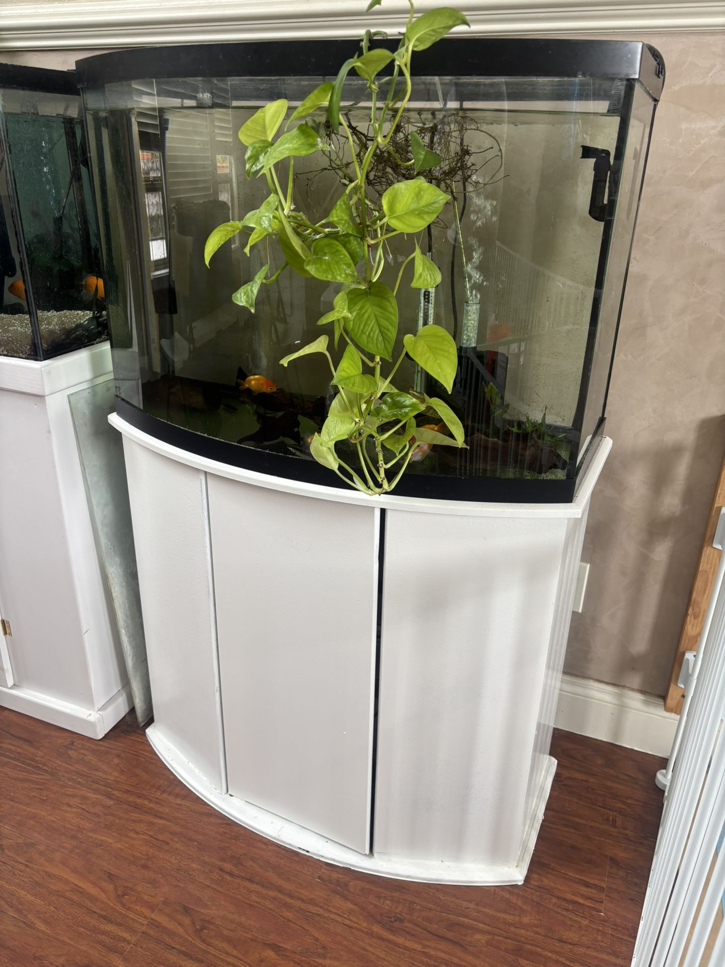 Fish Tank Half Round 25 -30 Gallon With Filter