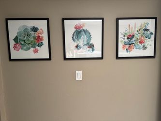 Set of 3 Framed Watercolor Succulent & Cactus Art Prints
