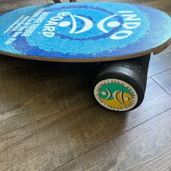 INDO BOARD BALANCE TRAINER 