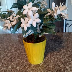 Decorative, Artificial, Plant, Plants 