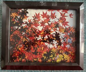 Picture frame 10x8 With Original Photo