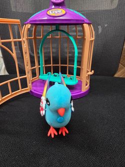 Little Live Pets Bird and Cage