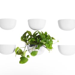 Make Good Virgo Wall Planters (Wide, Set of 4) - Easy to Water and Install