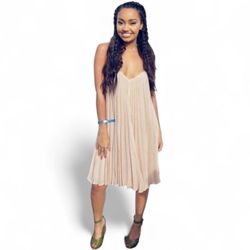 BCBGMAXAZRIA Cayanne Sleeveless Pleated Dress Size S