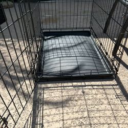 dog kennel 