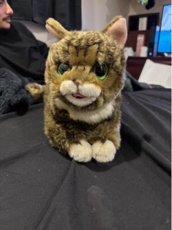Cat plush