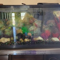 Fish Tank And Decor