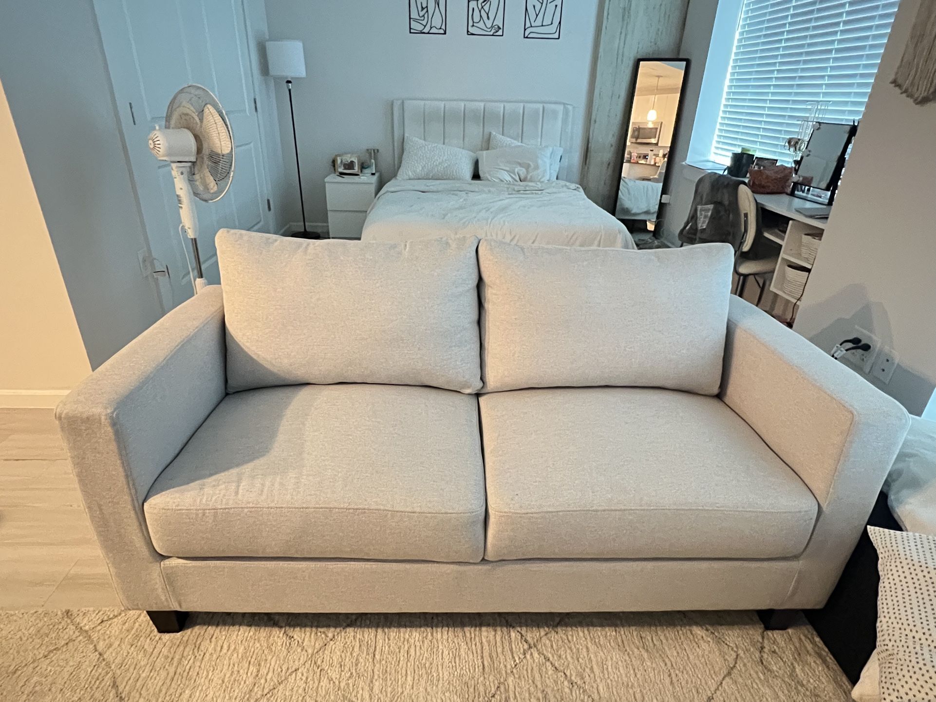 Light Grey Couch