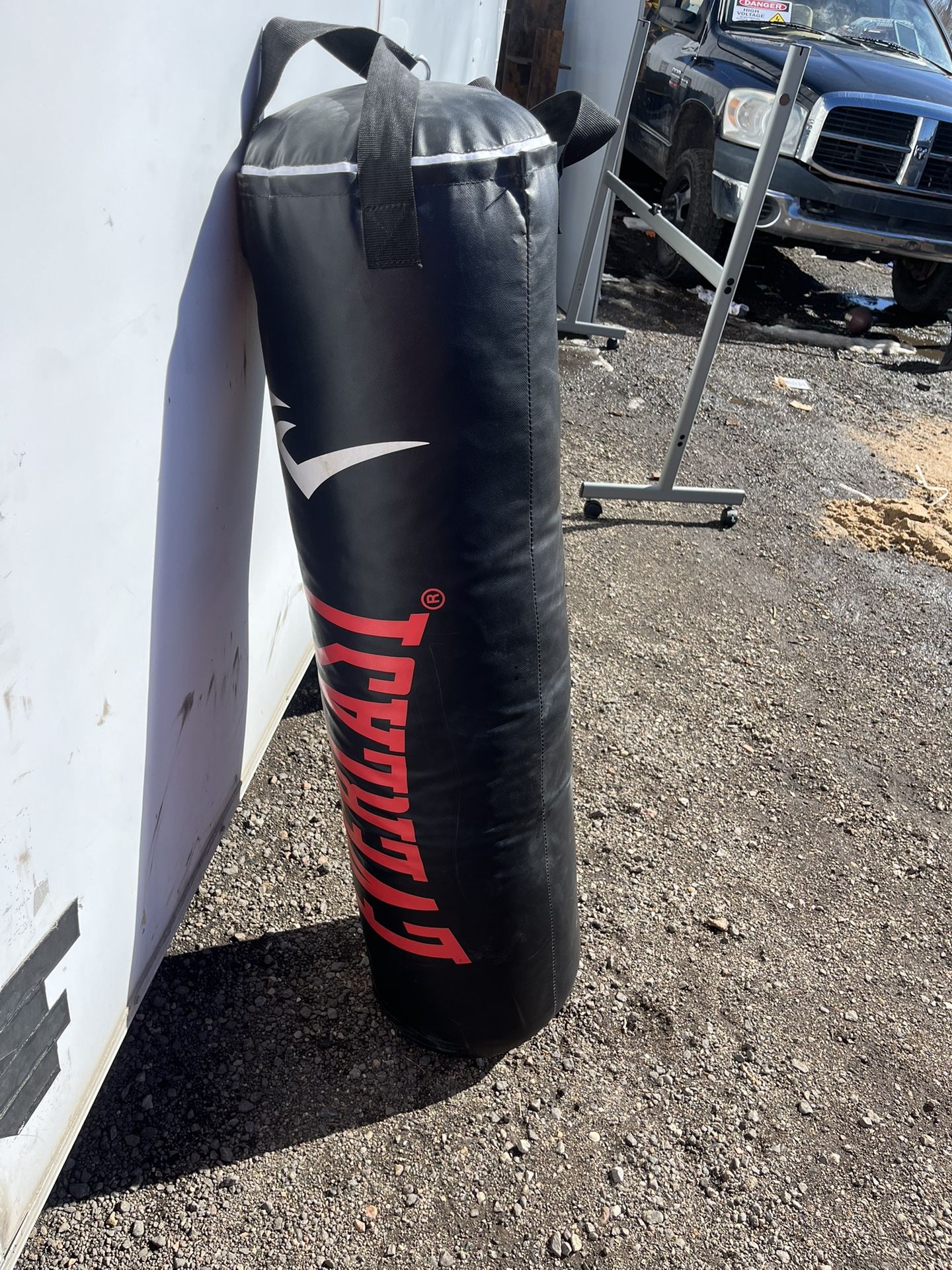 Everlast Punching Bag