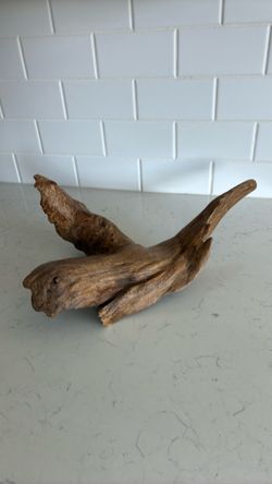Decor driftwood
