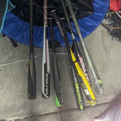 Bats