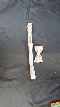 Bow Dog collar