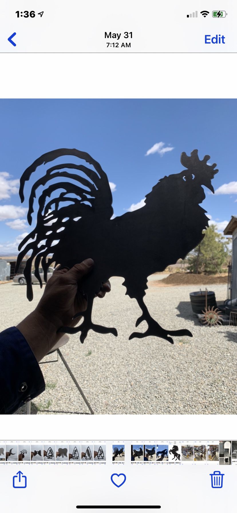 Rooster 20” $20… Hens 13” $13 each 