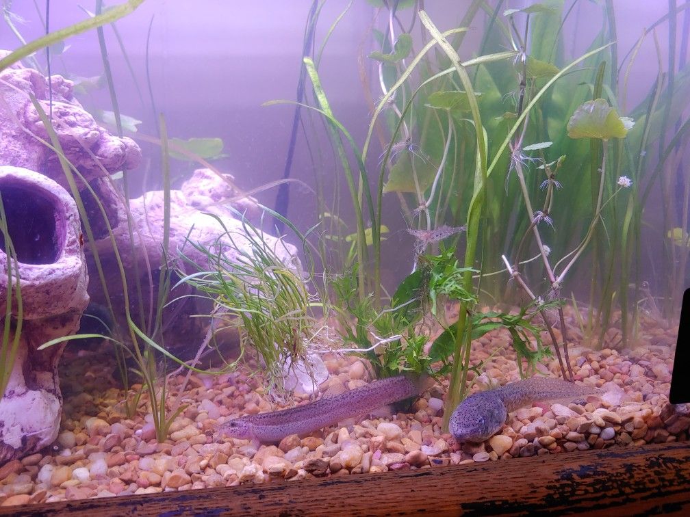 Willing to take aquariums off your hands
