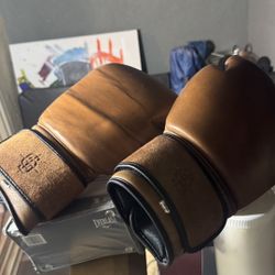 Boxing Gloves (His & Hers) + Training Mits