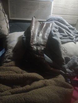 Prada Dark Brown Boots