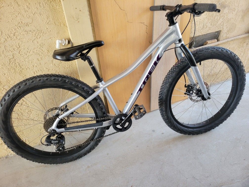 24"Wheel Trek Roscoe 7 Speed Hybrid Comfort