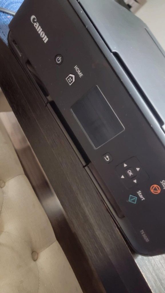 Canon TS5020 Printer For Edible Images