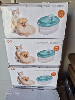 2L pet water fountain