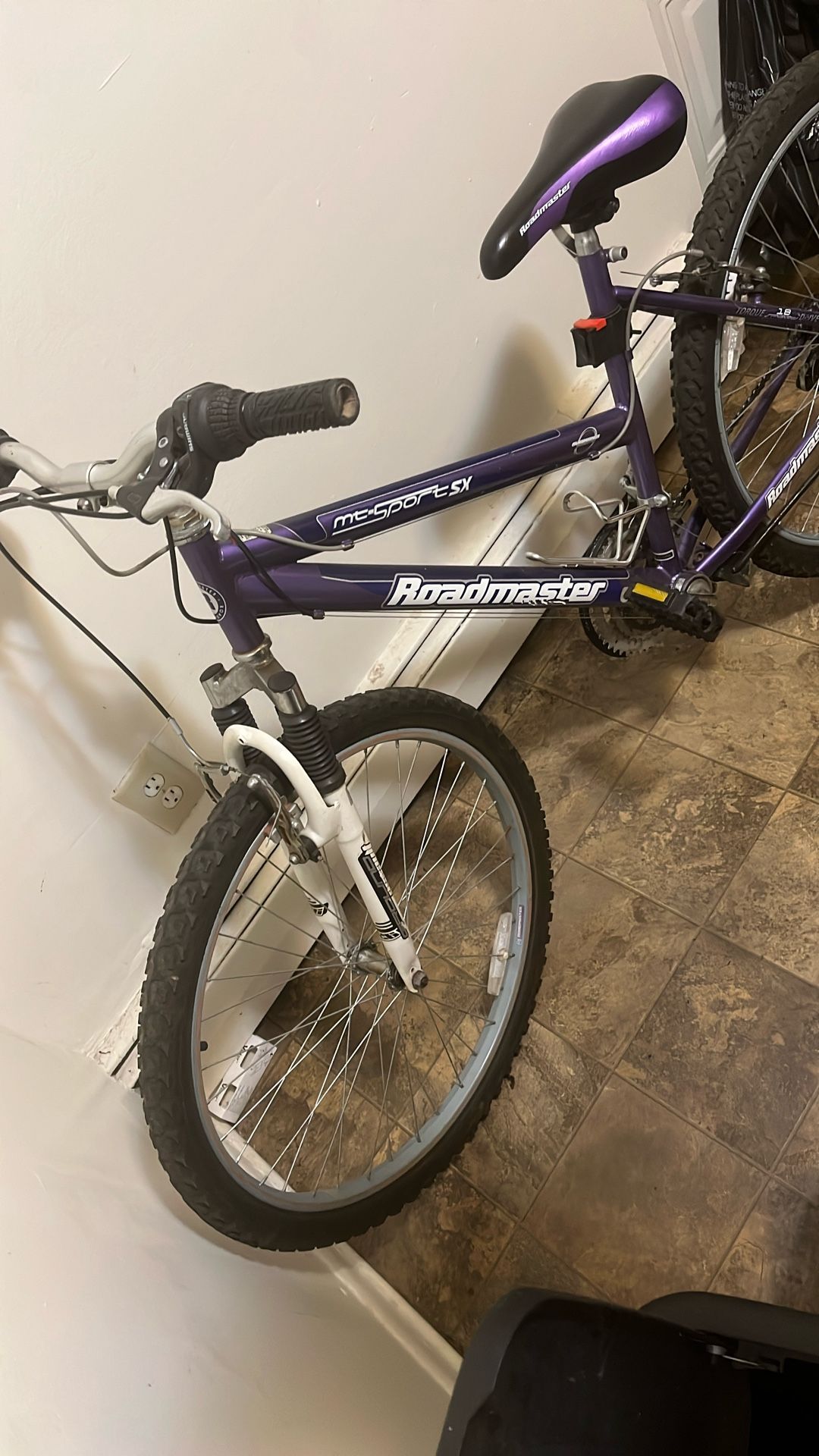 Roadmaster Bike