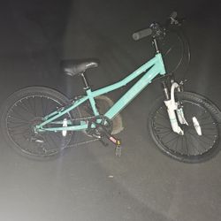 Seven Speed Bike
