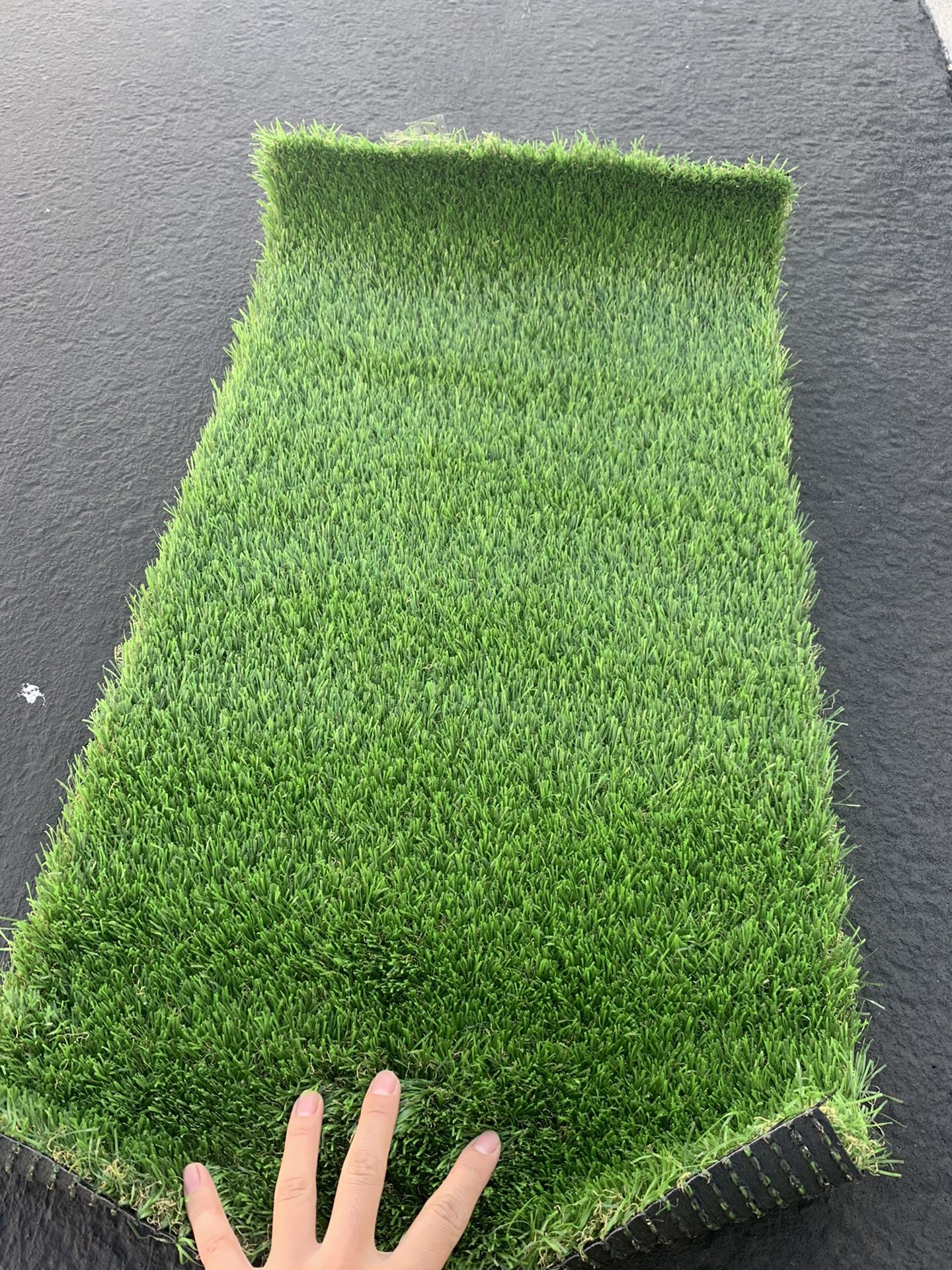32” x 16” pet carpet outdoor