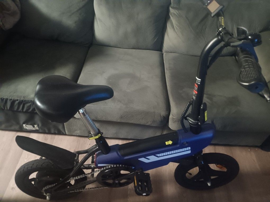 Electric Bike 