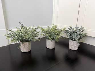 Faux Plants - Set of 8