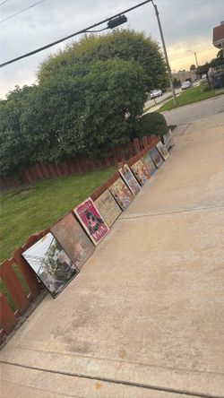 Pictures
