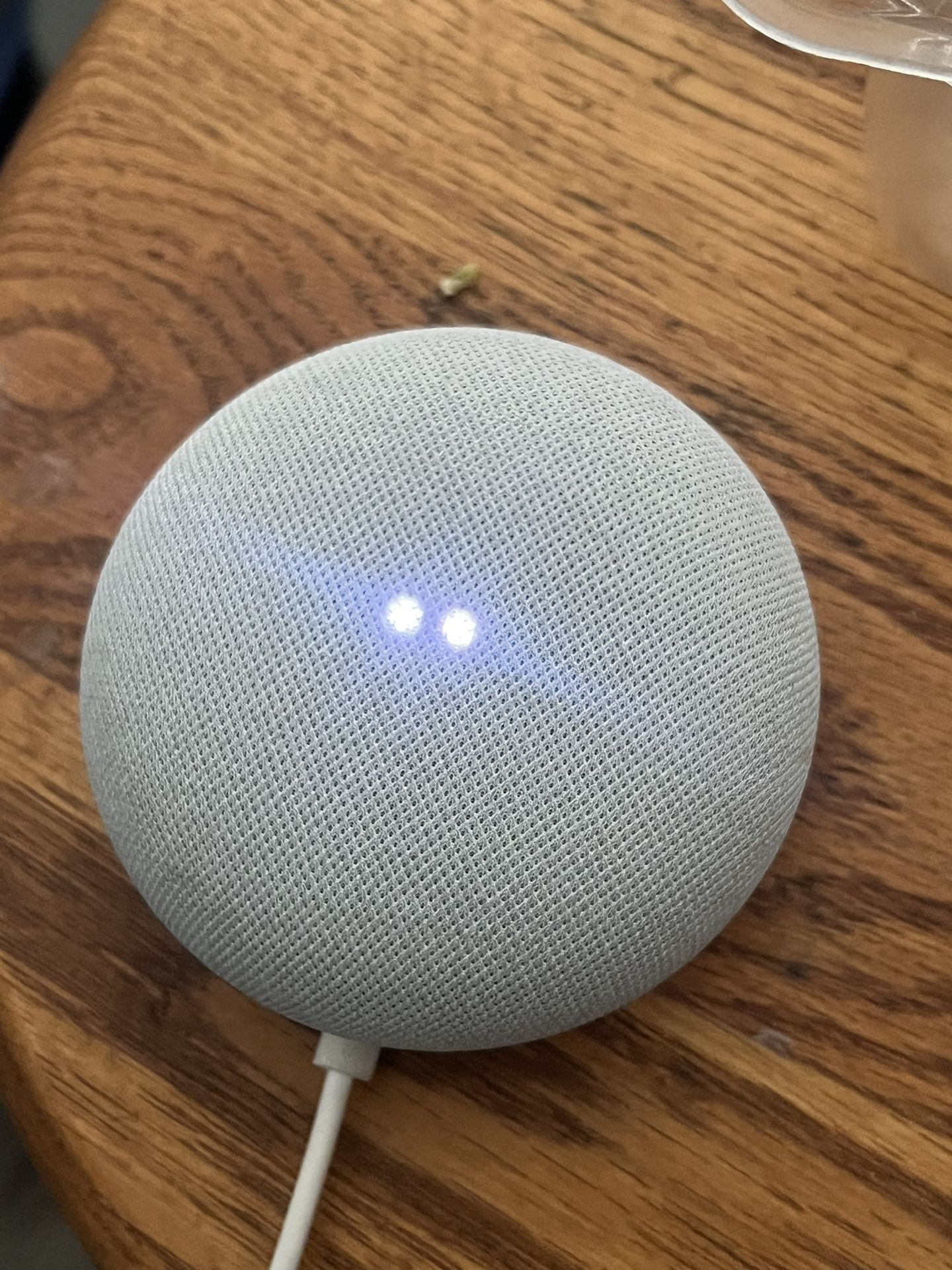 Google Home Mini Speaker. 