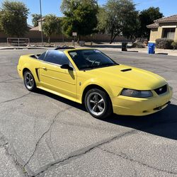 2001 Ford Mustang