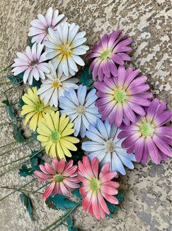 GARDEN DECOR BUNDLE - 28 piece METAL YARD ART, FLOWER SPINNERS, GARDEN STAKES