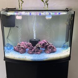 36 Gallon Bow Front Fish Tank And Stand 