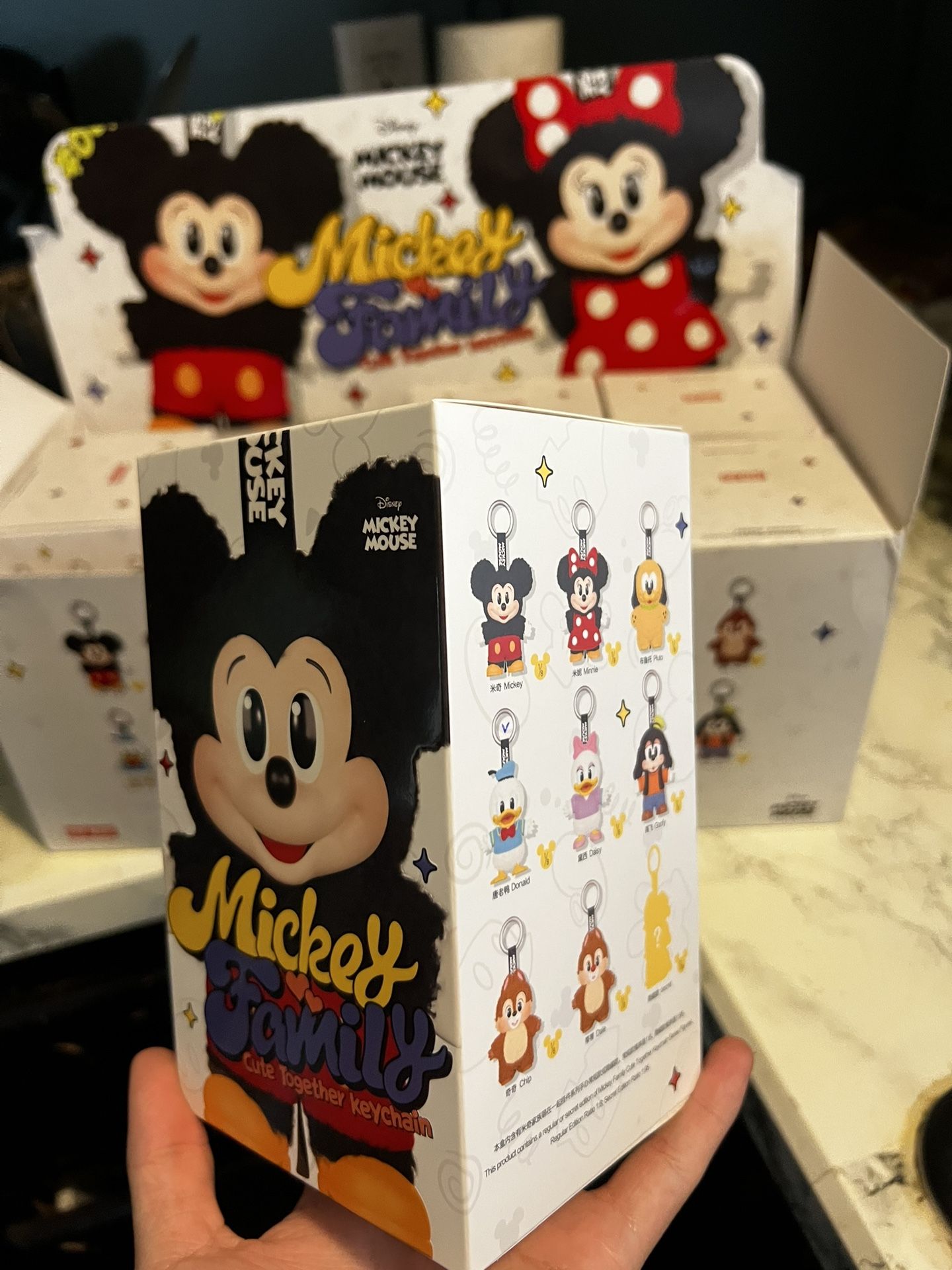 Mickey Family