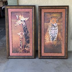 Animal Pictures