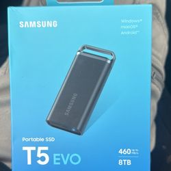 SAMSUNG Portable SSD T5 EVO