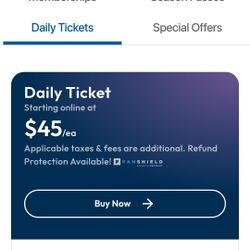 Great America Ticket