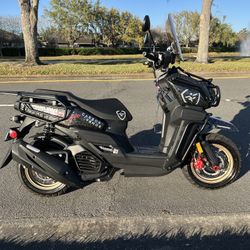 2024 Carbon Armor Farruco Maxuma