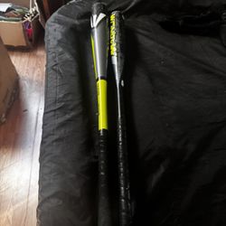 Baseball Bats And Bag 