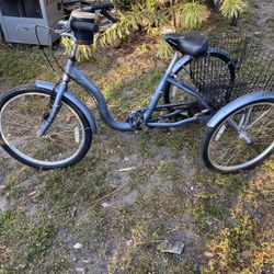 Tricycle bike size 24