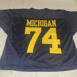 Champion Michigan Wolverines Jersey Mens Large USA Clean Blue Vintage 90s #74