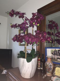 Orchid Decoration