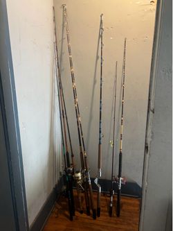 Many fishing rods for sale