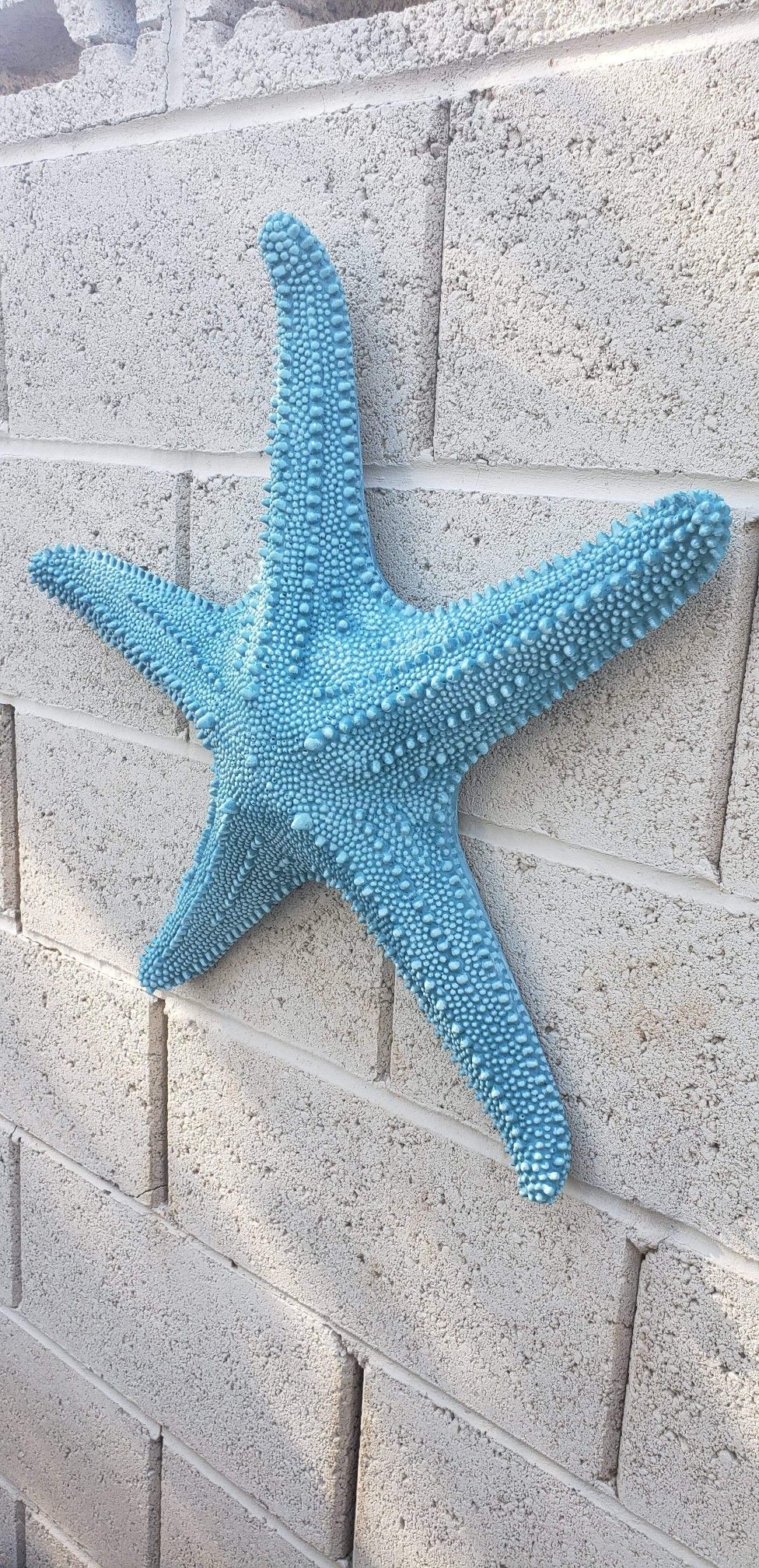 Starfish / Concrete wall decor