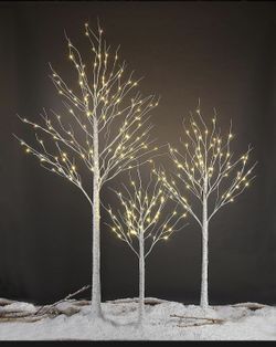 Birch Led Lights