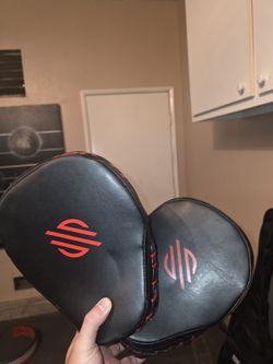 Sanabul Boxing Mitts