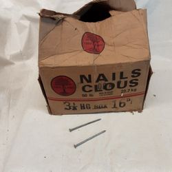 Tree island 16D (Penny) Galvanized Nails Box